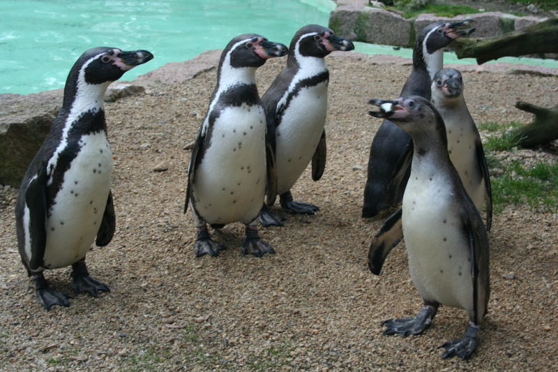 Muttertagsfest im Zittauer Tierpark