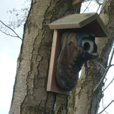 Bild André Zosel aus Hohendubrau