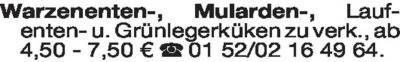 Fundgrube - Tiermarkt
