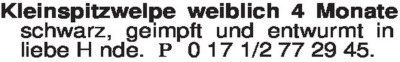 Fundgrube - Tiermarkt