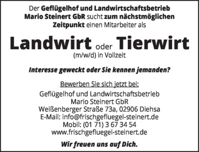 Stellenmarkt - Stellenangebote