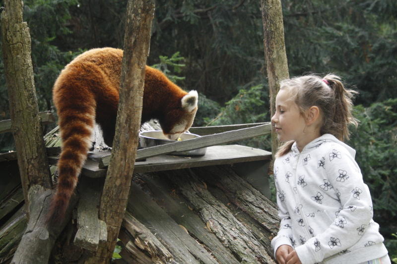 Kröte und Kitakinder beim Roten Panda