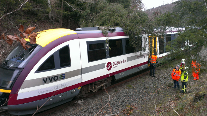 Baumumstürze: Privatbahnen funken SOS