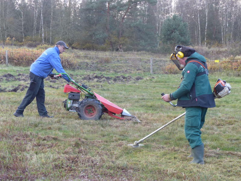 Teiche, Heide und Kiefern sollen in der Lausitz leben