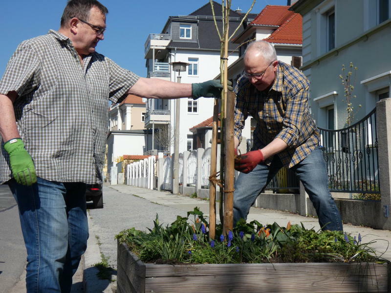 Bautzen: 1.000 Bäume wollen erstmal gepflanzt sein