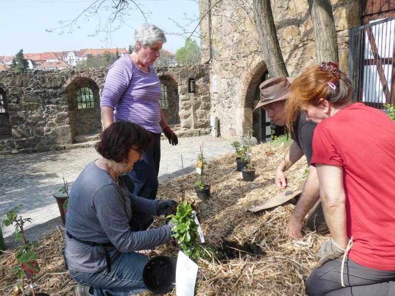 Ein Kiezgarten für die Kamenzer Innenstadt