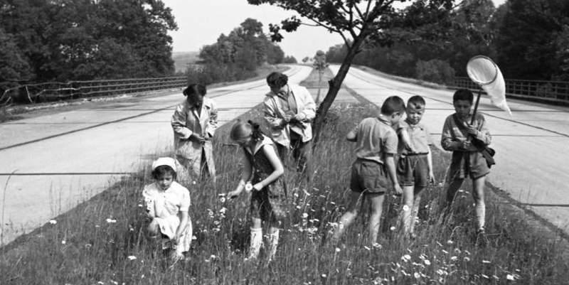 Mit und an der Autobahn
