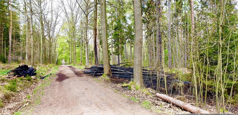 Stadt sucht Brandstifter