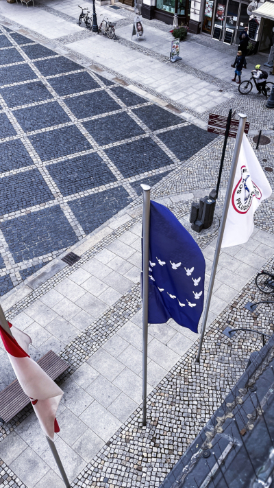 Friedensfahnen wehen am Zittauer Rathaus