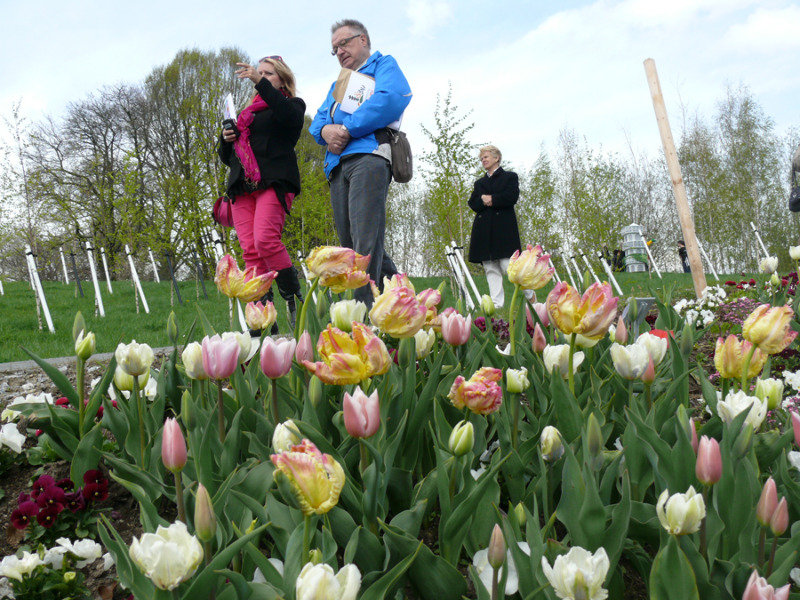 Dritter Anlauf für die Landesgartenschau?