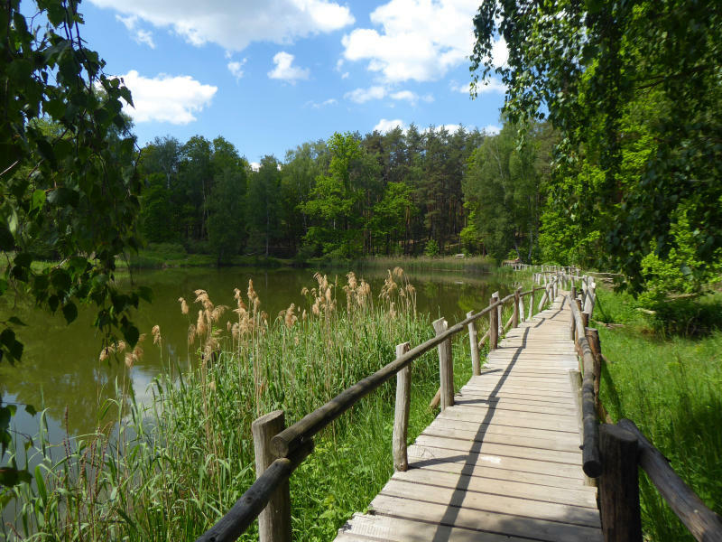 Die Jüngsten für die Schönheit der Natur sensibilisieren