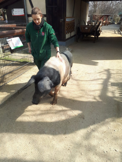 Tagsüber allein im Zoo  