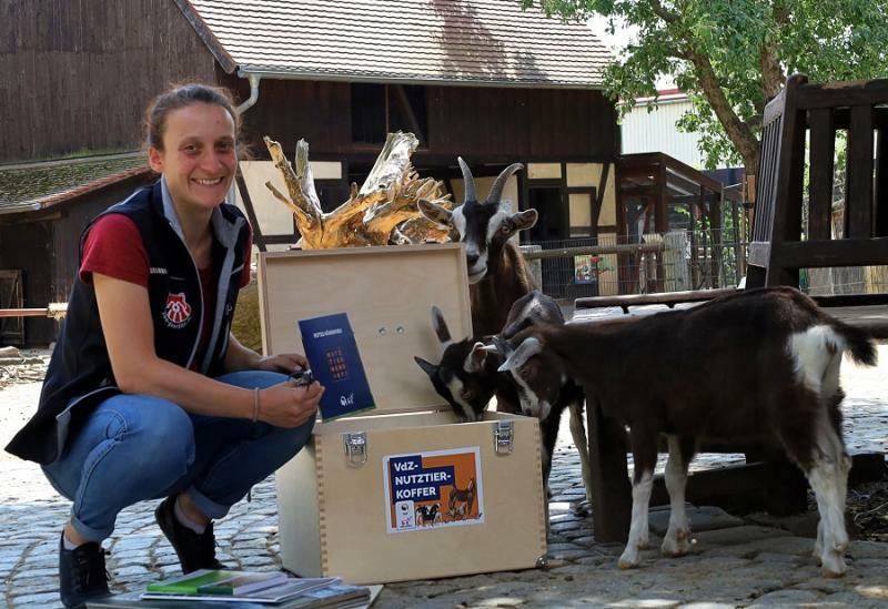 Mehr Infos im Tierpark dank seltenem Koffer