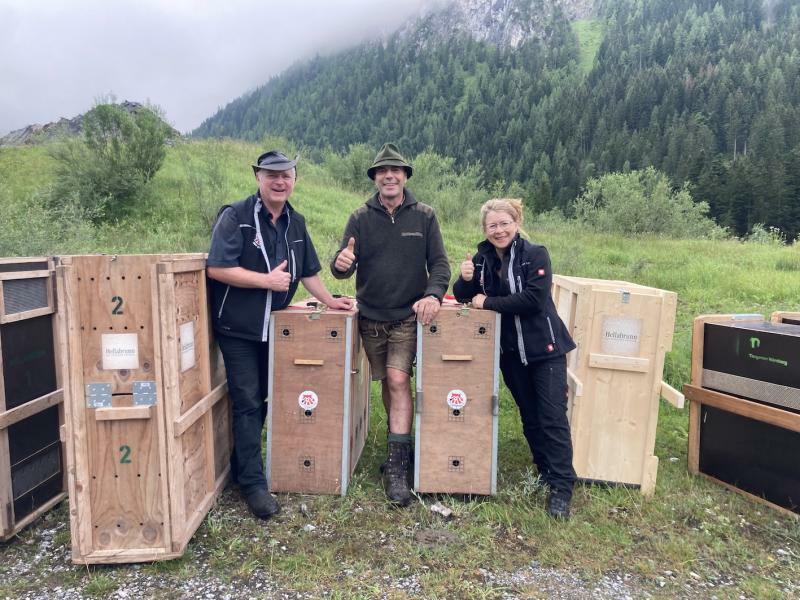 Könige der Alpen auch aus Görlitz