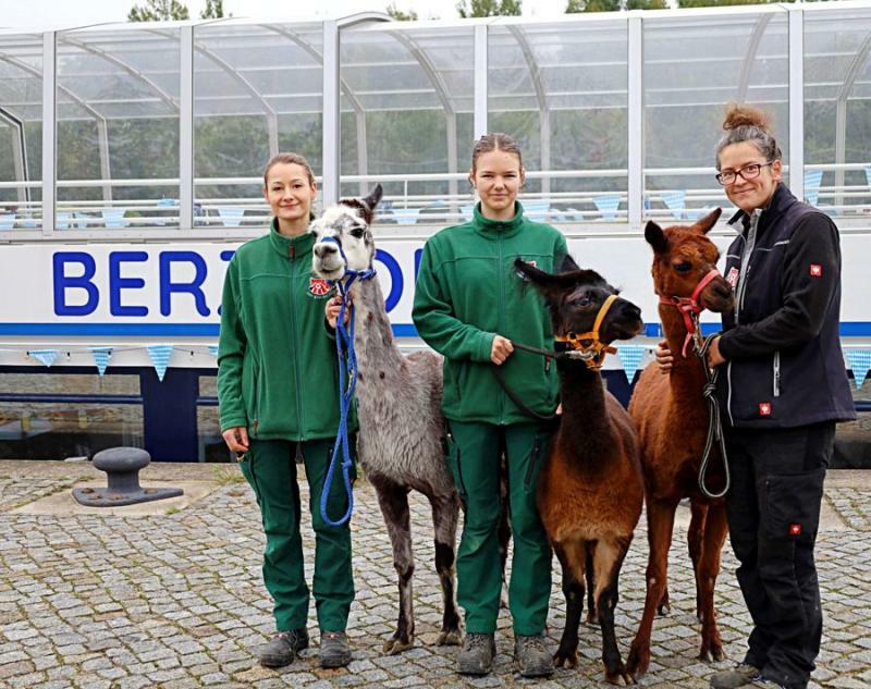 Alpakas und Menschen werden die EMS Berzdorf vermissen