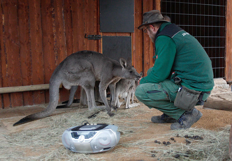 Der Zoo freut sich mehr über Paten als auf Böller