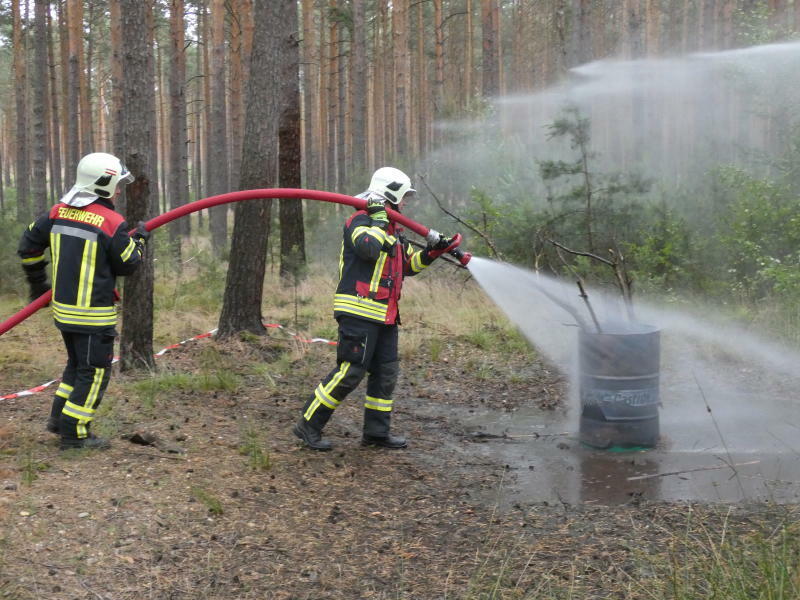 Waldbrände per Kamera erkennen