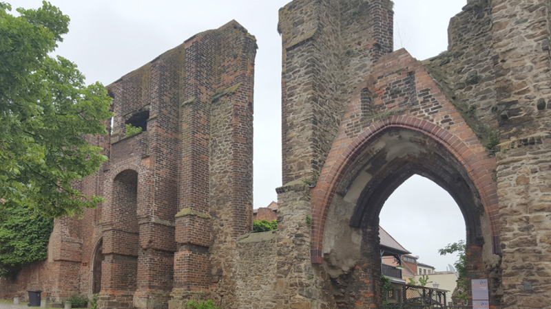 Neues Leben rund um die Mönchskirchruine