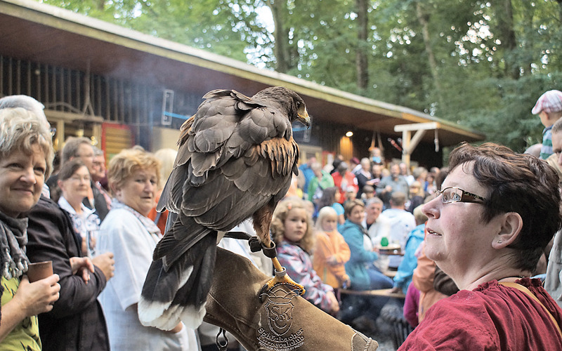 Die Schönbacher feiern mittelalterliche „Narredey“ im Hofepark