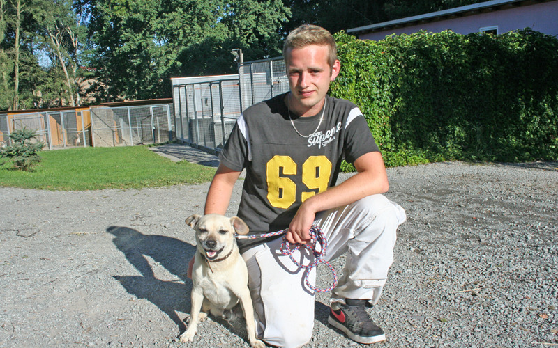 Wer interessiert sich für Fips? AllesLausitz.de