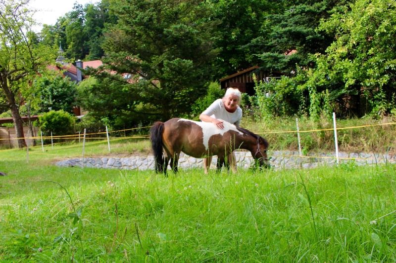 Pony Flicka genießt Wellness-Urlaub