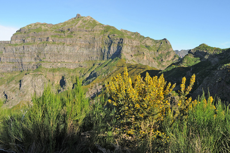 Reisereportage über Madeira