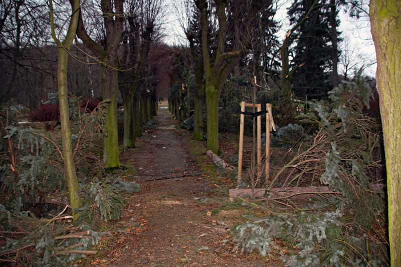 Sturmtief fegt durch Löbau