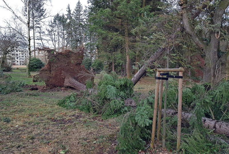 Sturmtief fegt durchs Löbauer Stadtgebiet