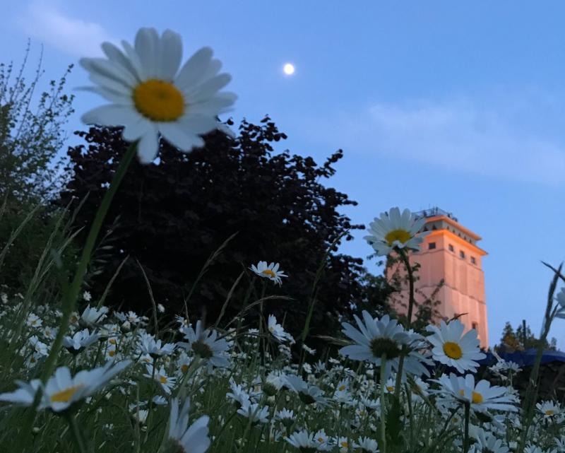 Buntes Programm zum Wasserturmfest in Neugersdorf