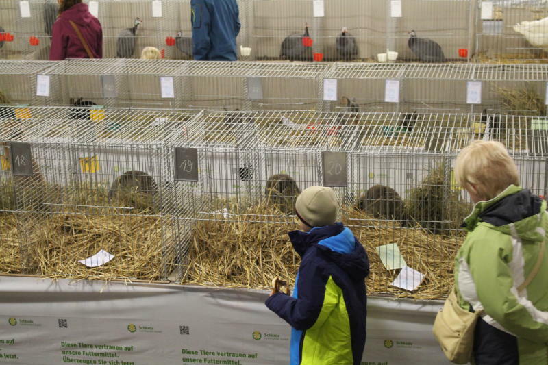 3. Internationale Landwirtschaftsausstellung in Löbau abgesagt