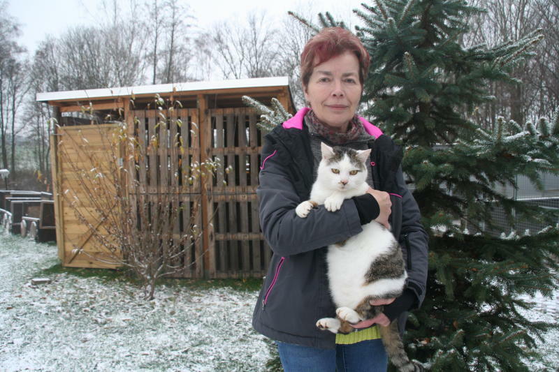 Tierheim Bischdorf: Leckerlis im Advent für Waldi und Co. 