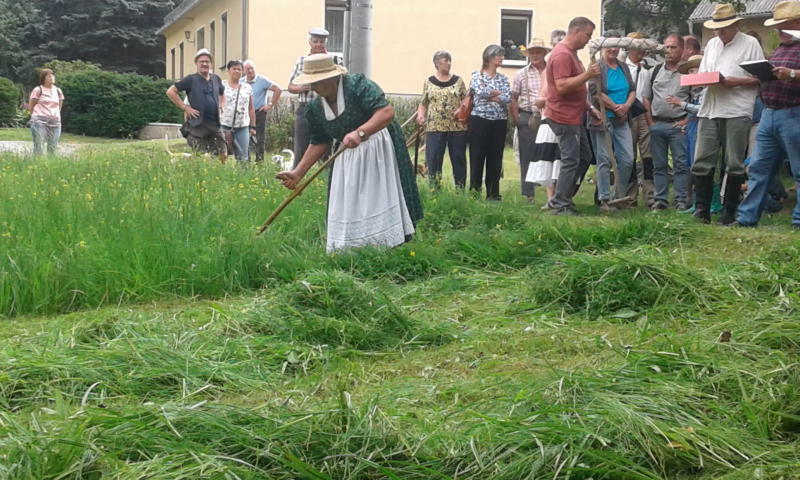 Die Sense schwingen wie in alten Zeiten