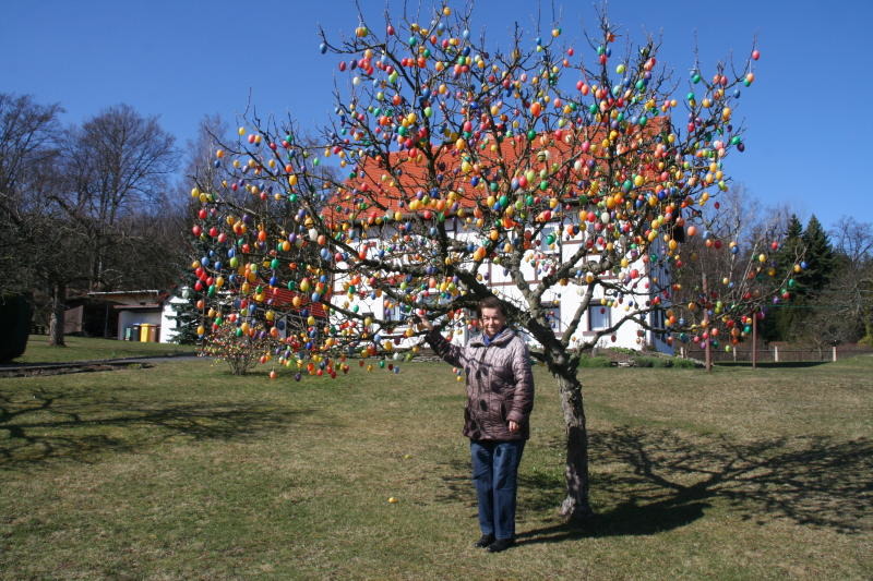 Circa 1.750 bunte Ostereier schmücken farbenfrohen Apfelbaum