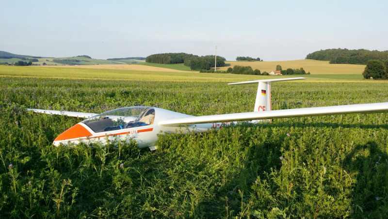 Segelflugzeug landet auf Feld