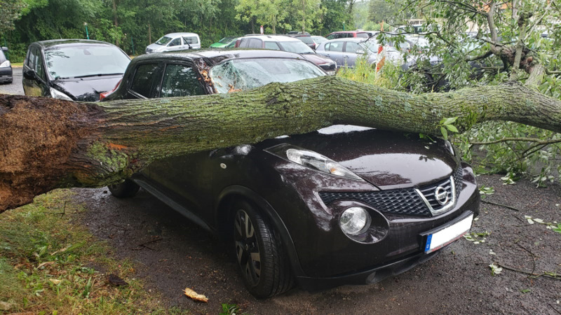 Baum stürzt auf vier Autos