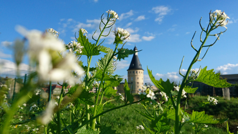 Ferienspaß auf
der Bienenweide