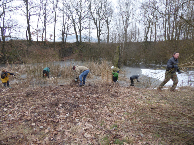 Biotoppflege im Steinbruch