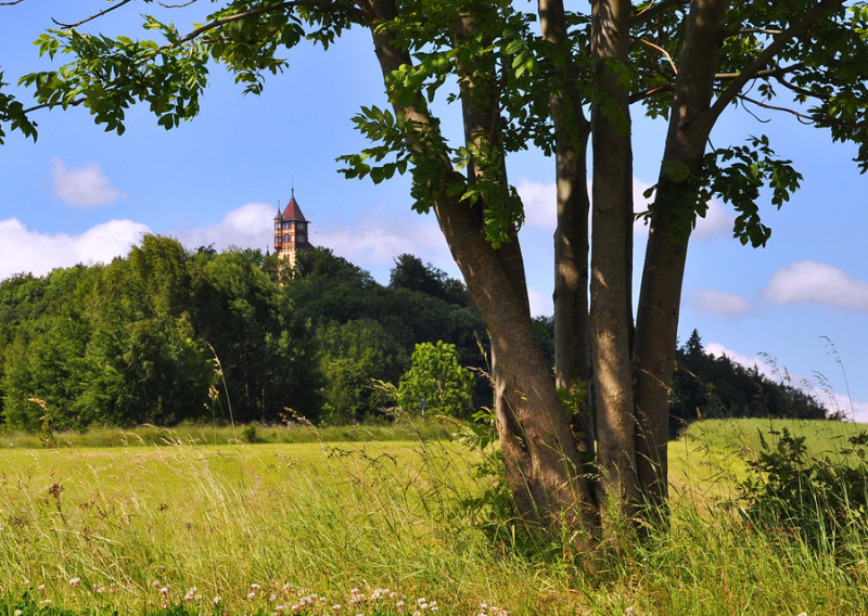 Wanderung zum Burgsberg