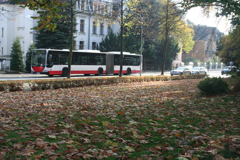 Laubwochen in der Stadt Zittau