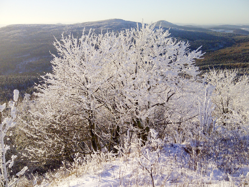 Wintersport an der Lausche