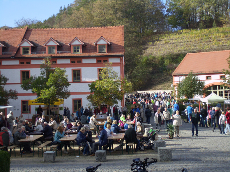 Ansturm auf das Winzerfest