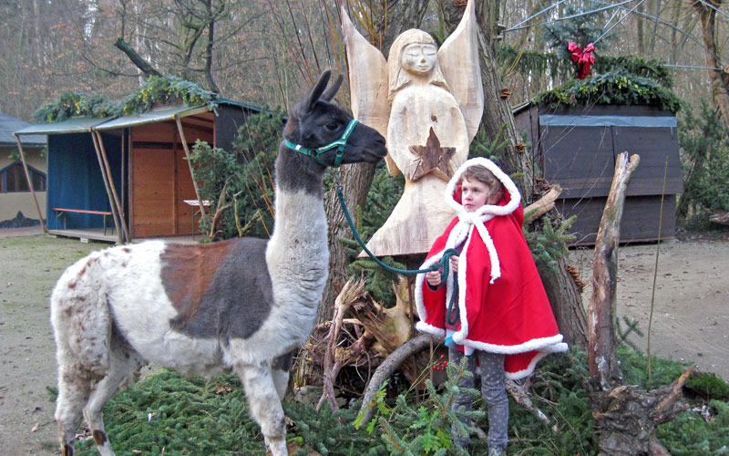 Adventsmarkt im Zittauer Tierpark