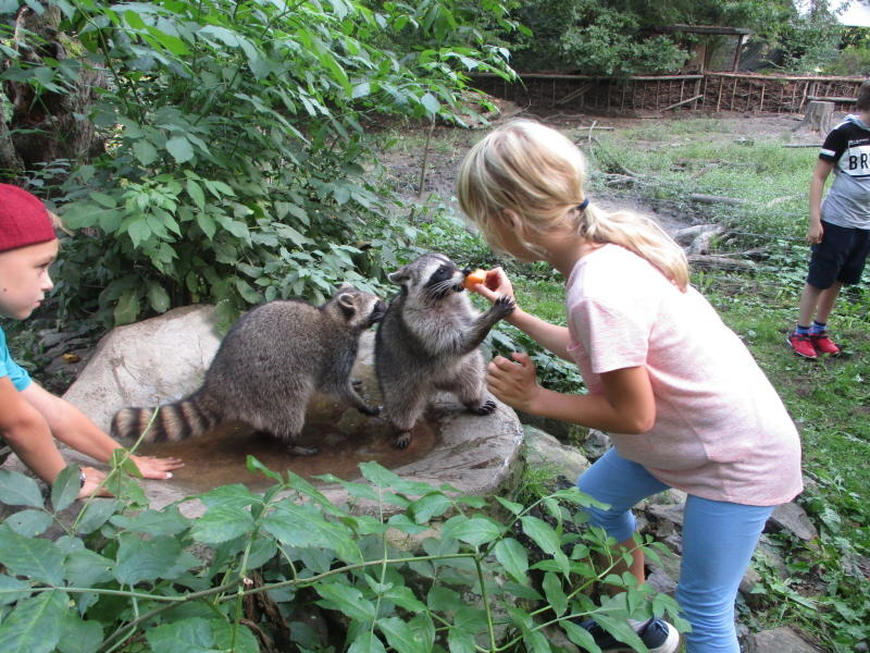 Tierpark sucht  Kinder für AG