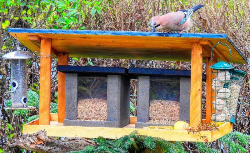 Wer hat das schönste Vogelhäuschen? 