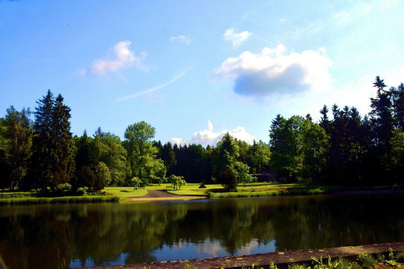 Erfrischung im Naturteich Seifhennersdorf