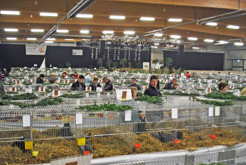 Landwirtschaftsausstellung in Löbau abgesagt