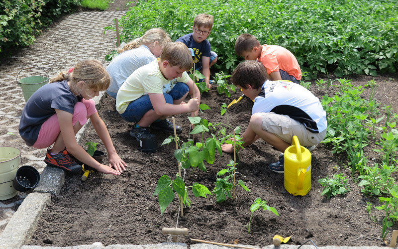 Erster Preis für Schulgarten im Haselbachtal