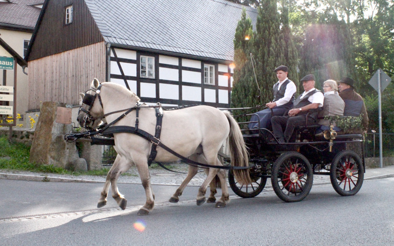 Keulenbergrundfahrt mit der Pferdekutsche