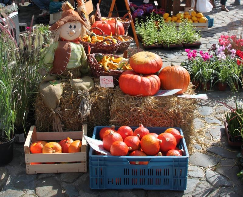 Hinterhöfe und Herbstmarkt