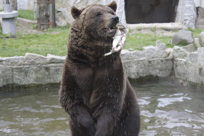 Kaffeeklatsch  im Tierpark